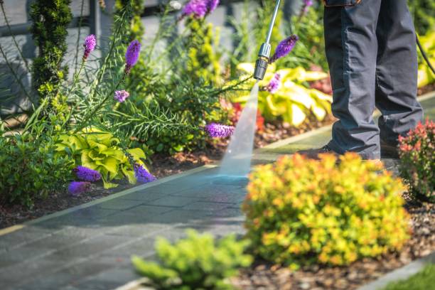 Best Driveway Pressure Washing  in Coatesville, PA